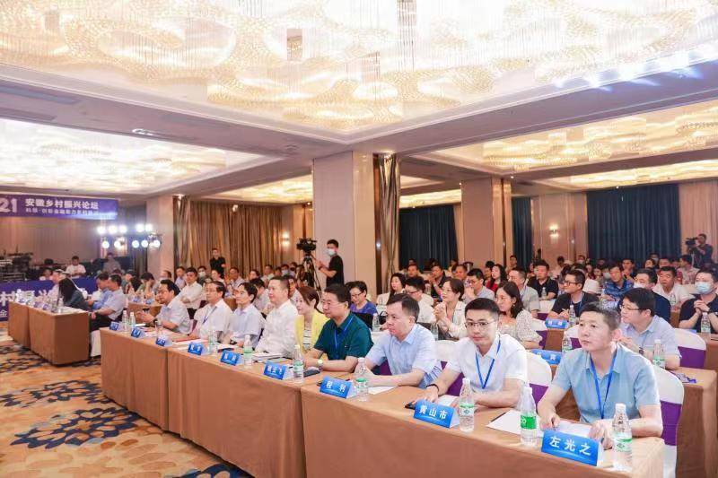 一张二维码扫尽一只砀山梨的一生蚂蚁科技助力乡村振兴经典样本落地砀山