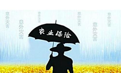 全国各省农业保险公司一览表，农民该如何正确购买农业保险？
