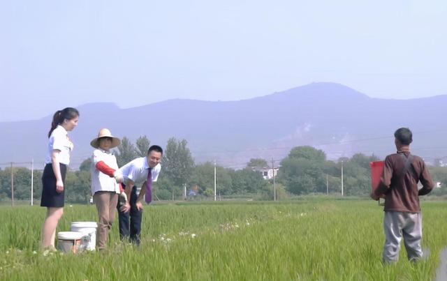 金融活水助力乡村振兴——建行安徽省分行为扶贫“续航”