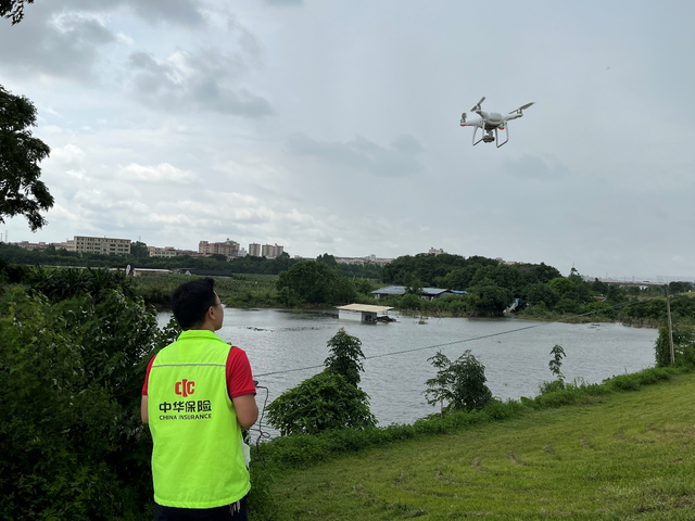 聚焦粮食安全服务乡村振兴