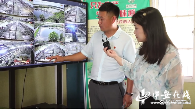 安徽：乡村振兴 青年先行