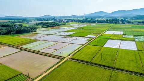 ‘十五五’开局:中国为何始终绷紧粮食安全这根弦?