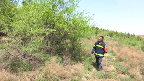 用脚步丈量绿水青山:2026年生态守护者的绿色坚守