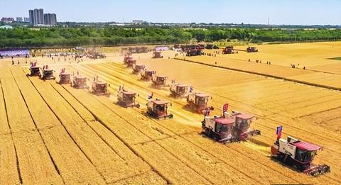 筑牢大国粮仓：2026年乡村振兴新篇章开启