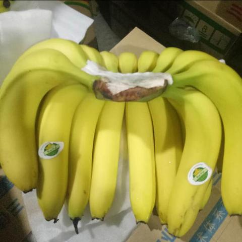 老挝香蕉直抵重庆:西部陆海新通道催生消费新变革