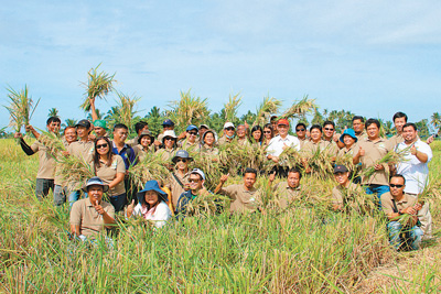 中国种子逆袭全球：湖南杂交水稻覆盖70国，年增收粮食1600万吨