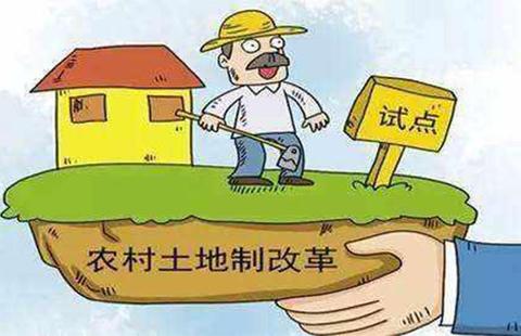 土地延包三十年：乡村振兴的“定心丸”与“新引擎”