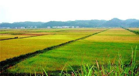 二轮土地延包试点扩至7整省，2500万农户吃上“定心丸”