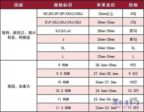 车厘子价格暴跌40%背后：中智贸易合作加速，春节年货市场迎新变局