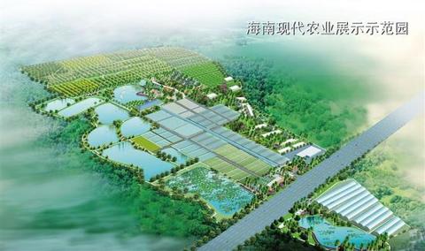 海南农业奇迹：每亩产出1.2万元稳居全国第一的背后