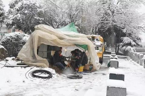 安徽遭遇极寒天气考验：农业保险理赔激增，经济损失达数亿元