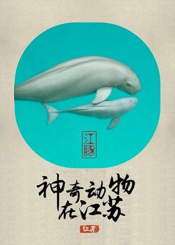 长江江豚数量五年增四成背后：禁渔催生千亿生态经济新蓝海