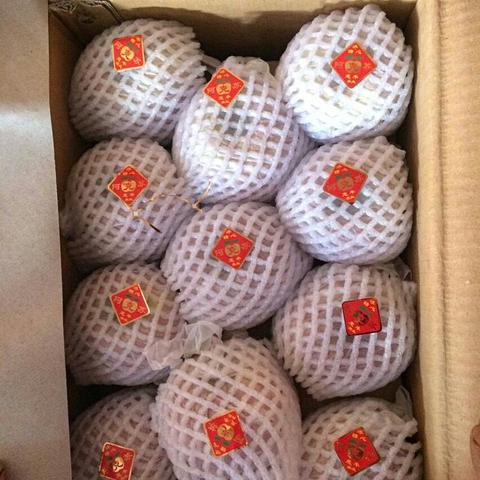 新疆果品出口爆发式增长:28万吨水果香飘世界,一带一路沿线国家成新增长极