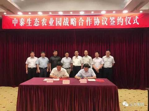 中泰农业合作新范式:44.7亿贸易额背后的双向奔赴