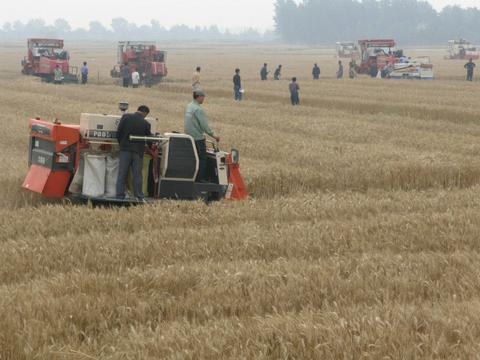 农发行秋粮收购贷款突破1200亿元,市场化主体获贷同比增长8.8%