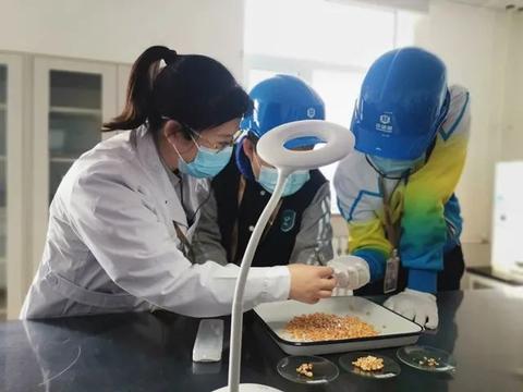 粮食安全保卫战：中国如何用科技与战略养活14亿人口