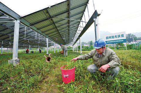 农光互补：光伏板下的千亿级农业新蓝海