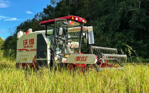 数字金融破局高原农业：3000亿资金如何激活“云品出滇”新引擎